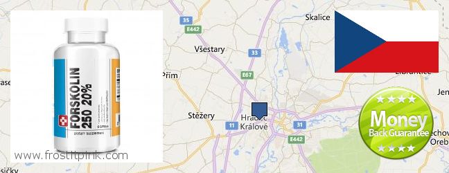 Where to Buy Forskolin Extract online Hradec Kralove, Czech Republic