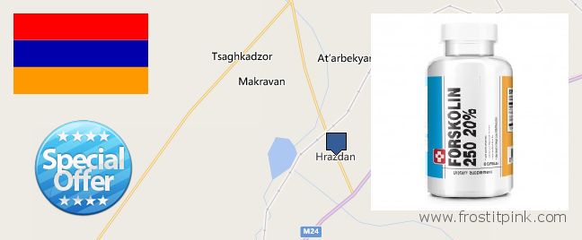 Where to Purchase Forskolin Extract online Hrazdan, Armenia