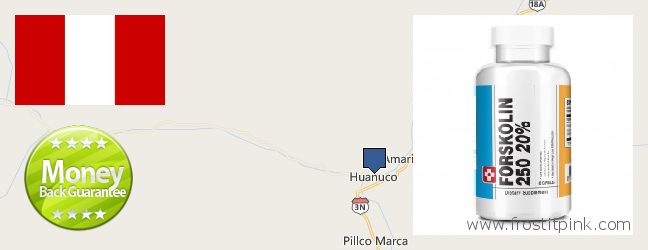 Dónde comprar Forskolin en linea Huanuco, Peru