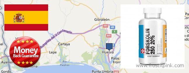 Buy Forskolin Extract online Huelva, Spain