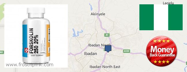 Where to Buy Forskolin Extract online Ibadan, Nigeria