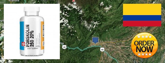 Purchase Forskolin Extract online Ibague, Colombia Where Can I Buy Forskolin Extract online Ibague, Colombia