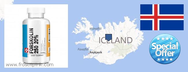 Buy Forskolin Extract online Iceland Where to Purchase Forskolin Extract online Iceland