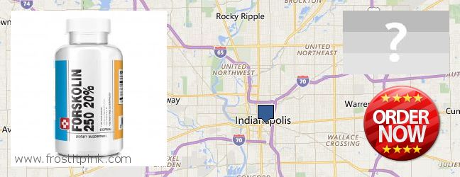 Hvor kjøpe Forskolin online Indianapolis, USA