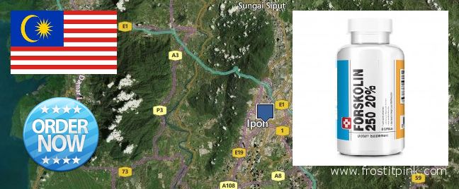 Buy Forskolin Extract online Ipoh, Malaysia Where to Buy Forskolin Extract online Ipoh, Malaysia