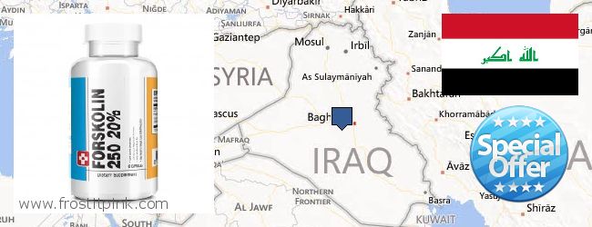 Var kan man köpa Forskolin nätet Iraq