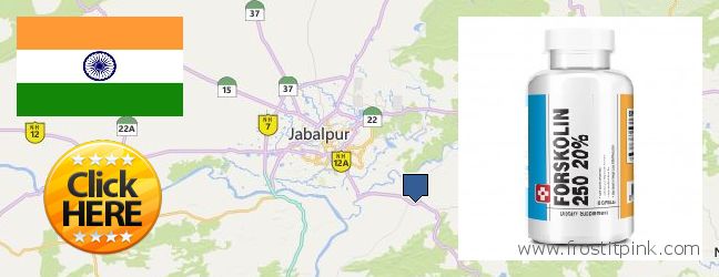 Where to Buy Forskolin Extract online Jabalpur, India