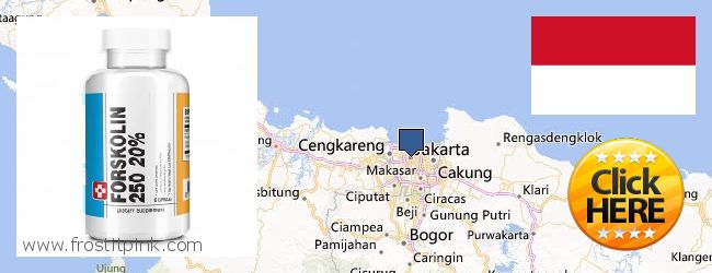 Purchase Forskolin Extract online Jakarta, Indonesia
