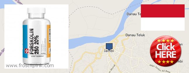 Buy Forskolin Extract online Jambi City, Indonesia