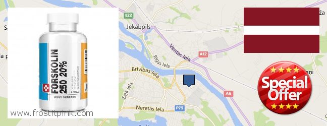 Where to Buy Forskolin Extract online Jekabpils, Latvia