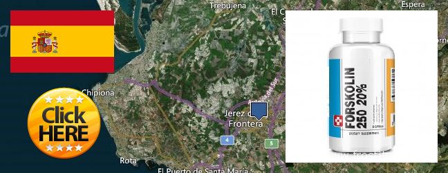 Where to Purchase Forskolin Extract online Jerez de la Frontera, Spain