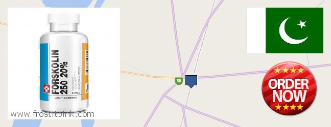 Buy Forskolin Extract online Jhang Sadr, Pakistan Buy Forskolin Extract online Jhang Sadr, Pakistan