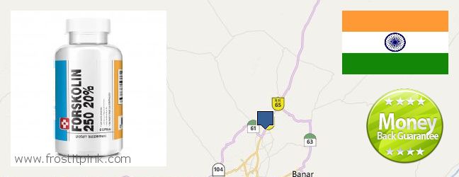 Where to Buy Forskolin Extract online Jodhpur, India