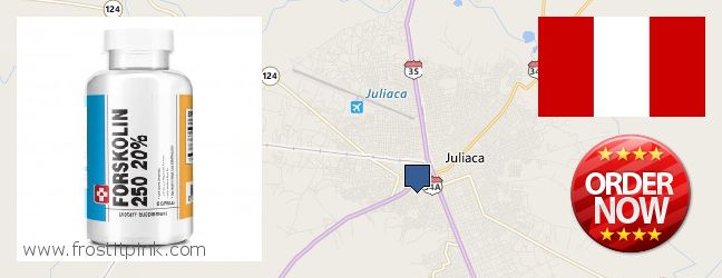 Purchase Forskolin Extract online Juliaca, Peru