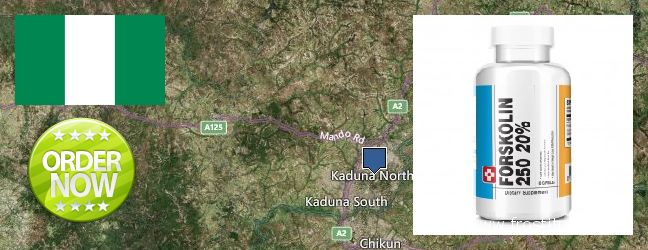 Where to Purchase Forskolin Extract online Kaduna, Nigeria