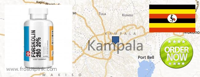 Where Can I Purchase Forskolin Extract online Kampala, Uganda