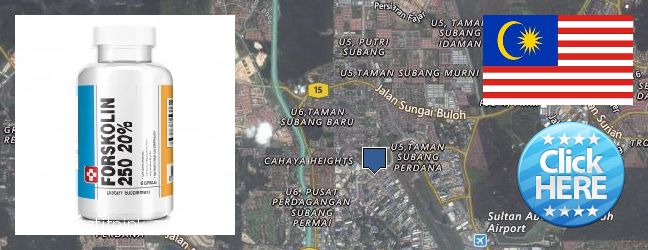 Where to Buy Forskolin Extract online Kampung Baru Subang, Malaysia