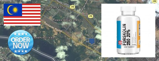 Where to Buy Forskolin Extract online Kampung Pasir Gudang Baru, Malaysia