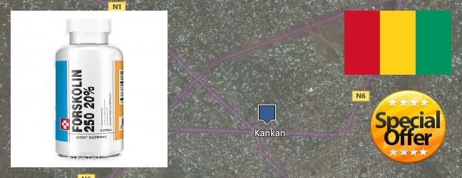 Où Acheter Forskolin en ligne Kankan, Guinea
