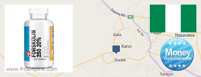 Buy Forskolin Extract online Kano, Nigeria