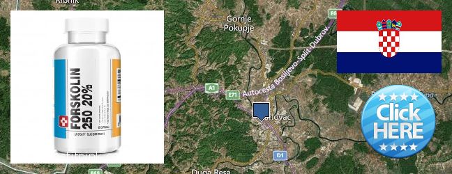 Dove acquistare Forskolin in linea Karlovac, Croatia
