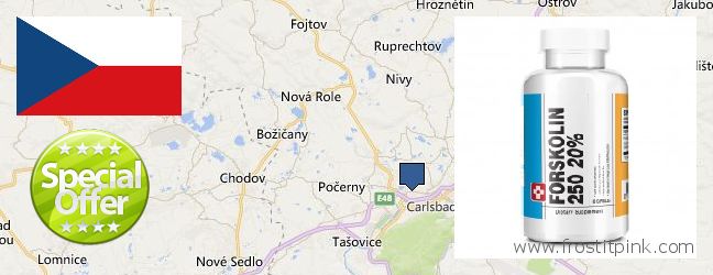 Where to Buy Forskolin Extract online Karlovy Vary, Czech Republic