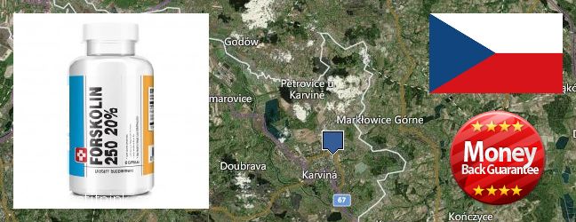 Къде да закупим Forskolin онлайн Karvina, Czech Republic