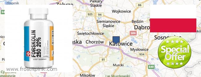 Де купити Forskolin онлайн Katowice, Poland
