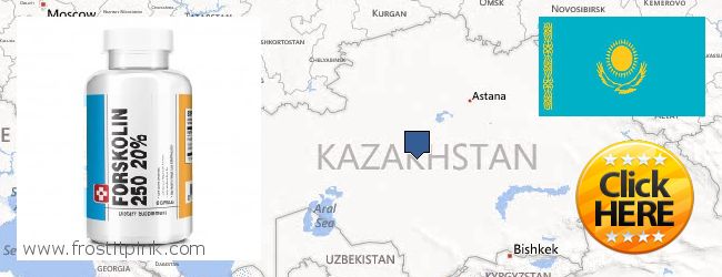 Purchase Forskolin Extract online Kazakhstan