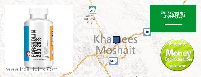 Where to Buy Forskolin Extract online Khamis Mushait, Saudi Arabia