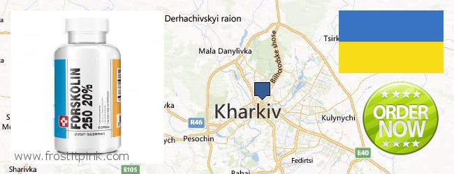 Где купить Forskolin онлайн Kharkiv, Ukraine