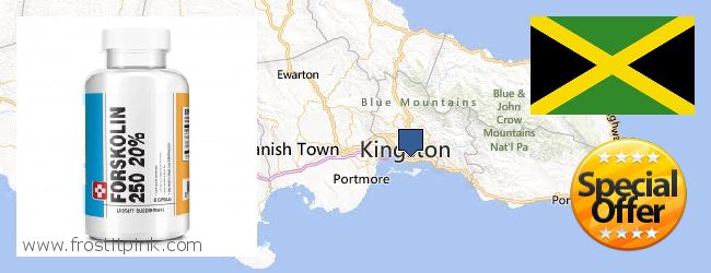 Where to Buy Forskolin Extract online Kingston, Jamaica