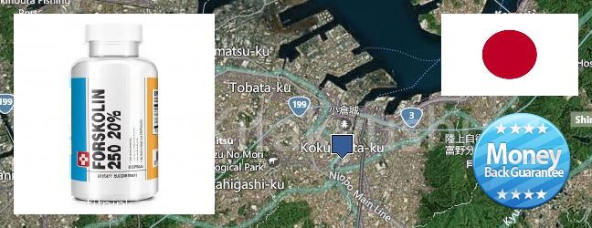 Where to Buy Forskolin Extract online Kitakyushu, Japan