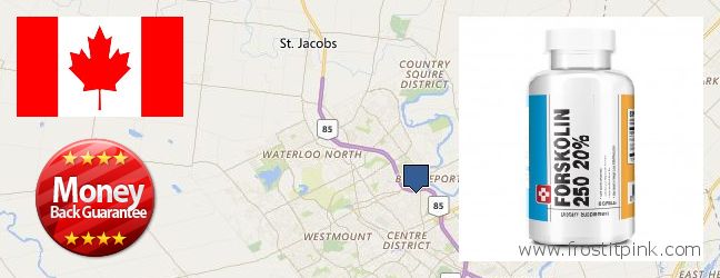 Où Acheter Forskolin en ligne Kitchener, Canada