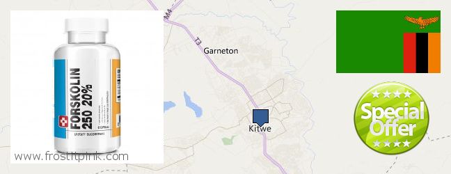 Best Place to Buy Forskolin Extract online Kitwe, Zambia