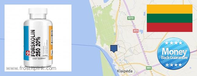 Buy Forskolin Extract online Klaipeda, Lithuania
