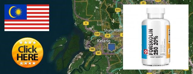 Buy Forskolin Extract online Klang, Malaysia