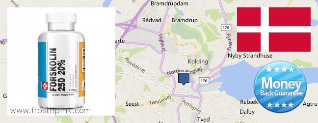 Wo kaufen Forskolin online Kolding, Denmark