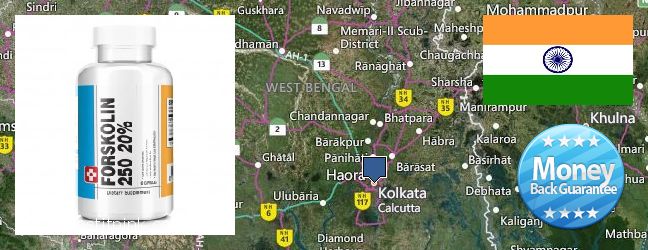 Where to Buy Forskolin Extract online Kolkata, India