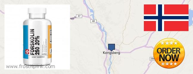 Hvor kjøpe Forskolin online Kongsberg, Norway