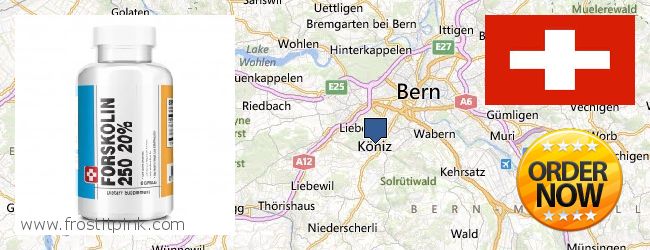 Wo kaufen Forskolin online Köniz, Switzerland