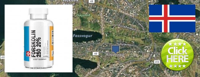Where Can I Purchase Forskolin Extract online Kopavogur, Iceland