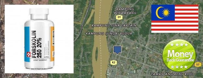 Purchase Forskolin Extract online Kota Bharu, Malaysia