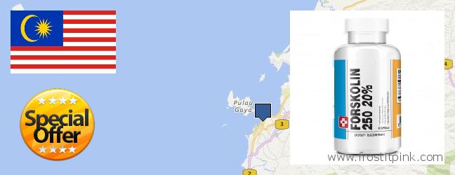 Buy Forskolin Extract online Kota Kinabalu, Malaysia Best Place to Buy Forskolin Extract online Kota Kinabalu, Malaysia