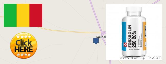 Où Acheter Forskolin en ligne Koutiala, Mali