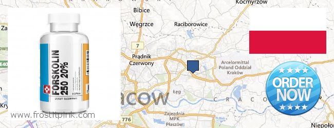 Where to Buy Forskolin Extract online Kraków, Poland