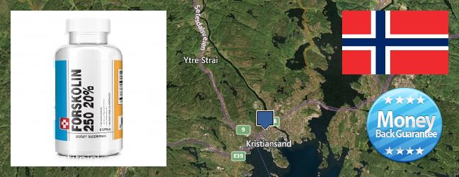Hvor kjøpe Forskolin online Kristiansand, Norway