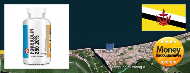 Where Can You Buy Forskolin Extract online Kuala Belait, Brunei