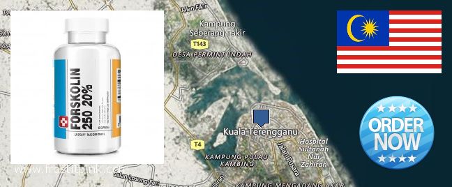 Where to Buy Forskolin Extract online Kuala Terengganu, Malaysia