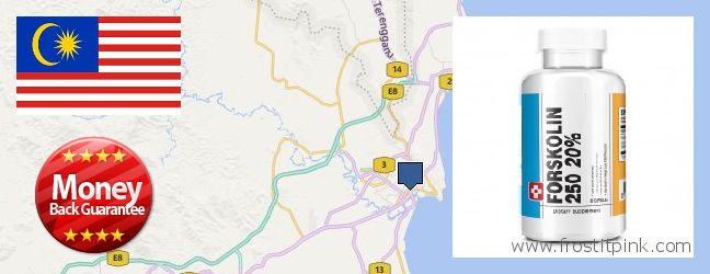 Where Can I Buy Forskolin Extract online Kuantan, Malaysia